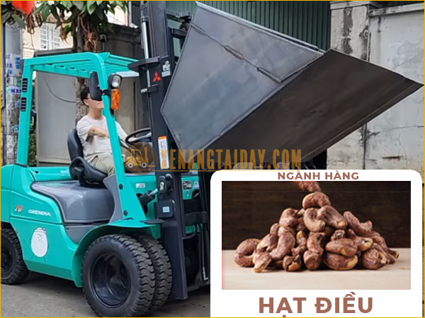 Xe Nâng Gầu Xúc Hạt Điều Tại Xe Nâng Tại Đây