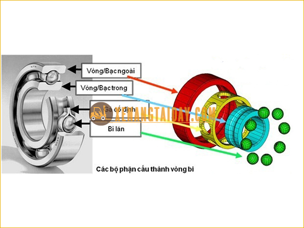 Cầu tạo bạc đạn xe nâng