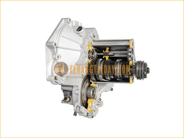 Hộp số xe nâng hàng