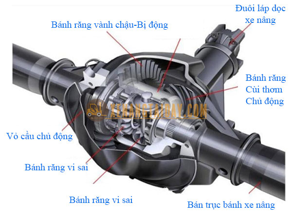 Cấu tạo bộ vi sai xe nâng