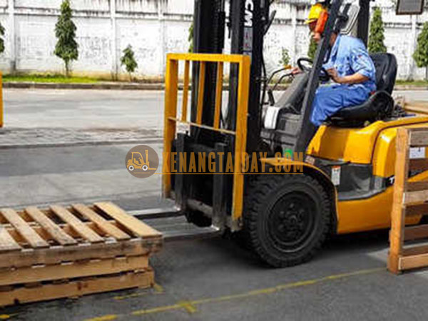 Đào taọ lái xe nâng