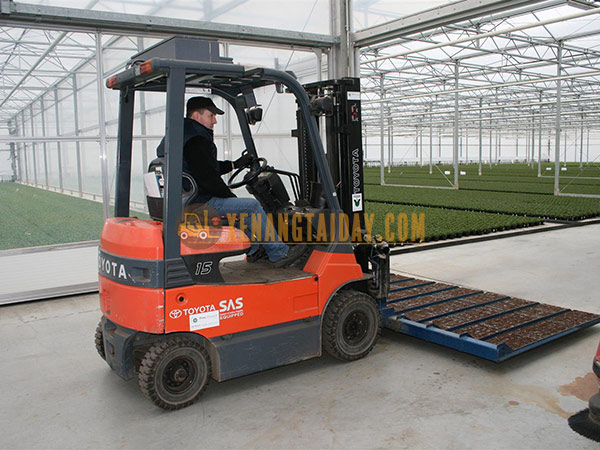Xe nâng làm việc trong vườn rau sạch