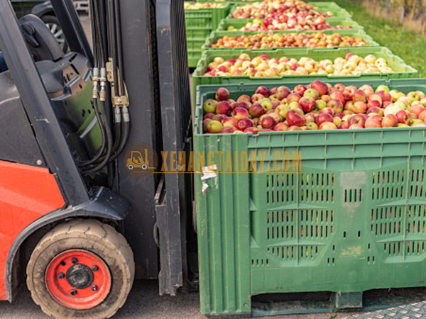 Xe nâng thu hoạch trái cây