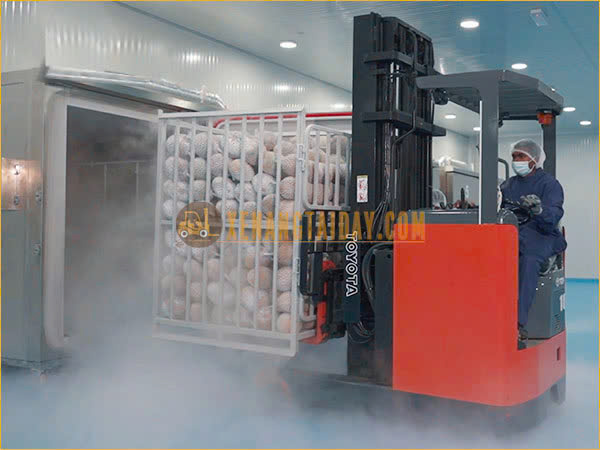 Xe nâng sầu riêng mang lại lợi ích to lớn