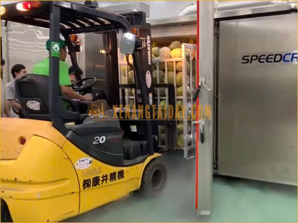 Xenangtaiday.com cung cấp xe nâng phục vụ ngành hàng sầu riêng