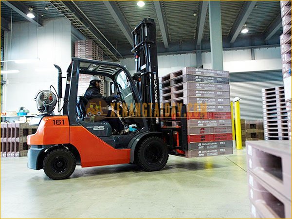 Chú ý đến kích thước kiện hàng và pallet
