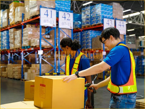 Thuê xe nâng giảm áp lực tài chính cho doanh nghiệp
