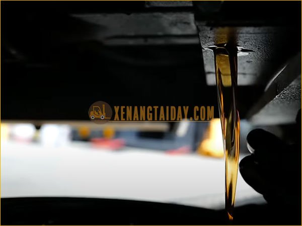 Dầu thuỷ lực đóng vai tròng quan trọng đối với hoạt động của xe nâng