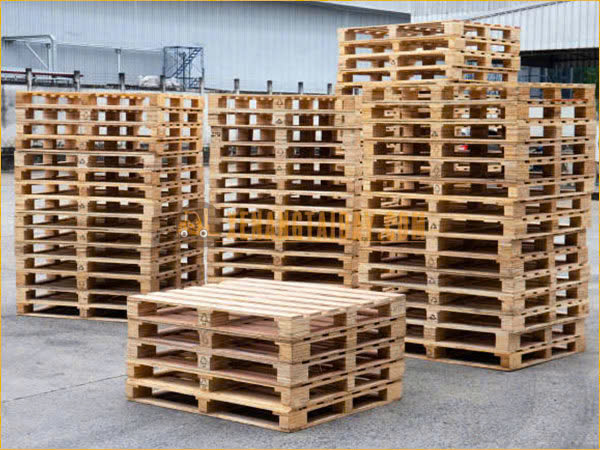 Tìm hiểu về cái loại pallet