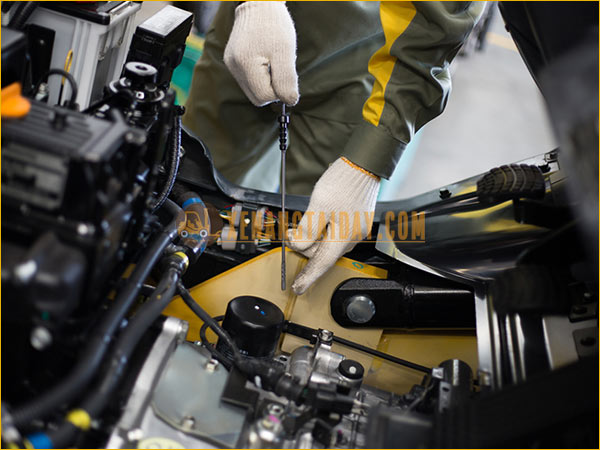 Hướng Dẫn Bảo Dưỡng Xe Nâng Dầu, Xe Nâng Xăng - Gas Định Kỳ