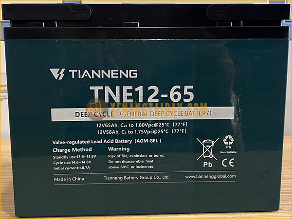 Bình điện xả sâu 12V - 65Ah THIÊN NĂNG (TIANNENG) TNE12-65
